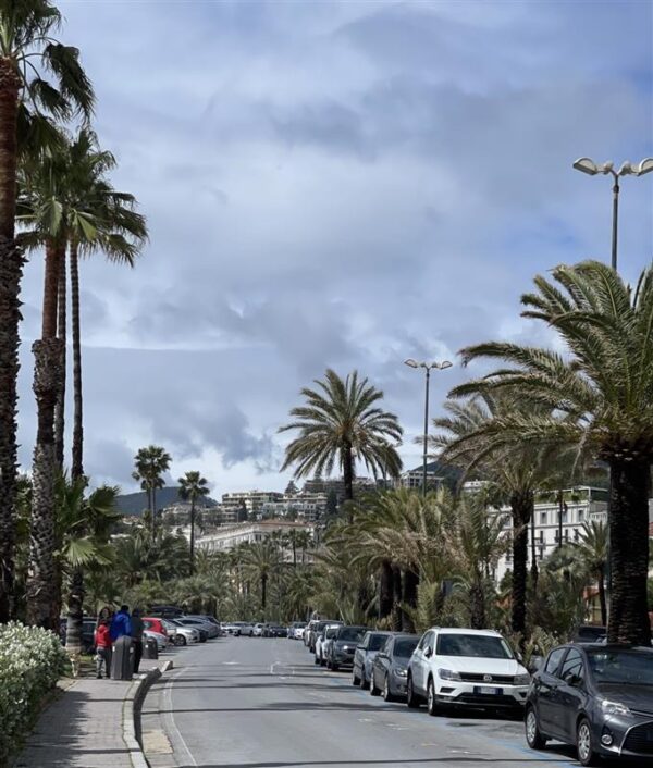 Image (5)