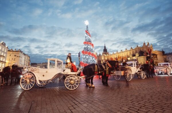 Image (7)