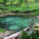 Saula_Sininallikas_visitestonia