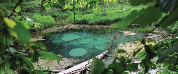 Saula_Sininallikas_visitestonia